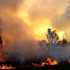 Incendio en las inmediaciones de la fábrica de Borges (Badajoz)