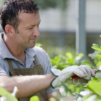 Las empresas podrán recibir hasta 10.000 euros por contratar a mayores de 30 años