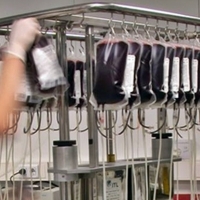 CCOO exige soluciones para los trabajadores del Banco de Sangre