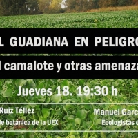 Conferencia: “El Guadiana en peligro: el camalote y otras amenazas”