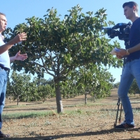 Los higos de Tiberia de Barcarrota saltan a la televisión nacional