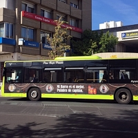 La Pilara contará con su propia línea de bus