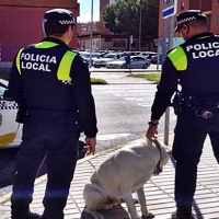 Gracias al microchip, la Policía devuelve a su dueño un perro perdido entre el tráfico