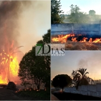 Un incendio afecta a varias parcelas en la Dehesilla de Calamón (BA)