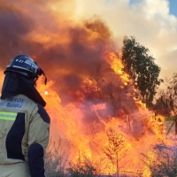 Incendio en las inmediaciones de la fábrica de Borges (Badajoz)