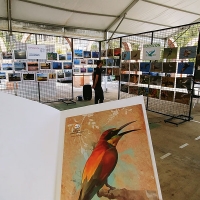 Orellana rinde homenaje a la ornitología en el Día de las Aves