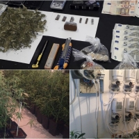 Hallan un puesto de venta de droga durante un desahucio en Cáceres y un narcohuerto en Mérida