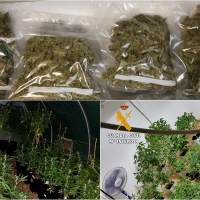Localizada una explotación de marihuana en una urbanización pacense