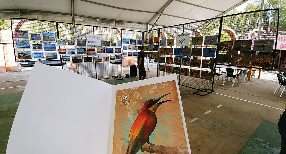 Orellana rinde homenaje a la ornitología en el Día de las Aves