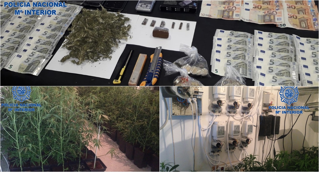 Hallan un puesto de venta de droga durante un desahucio en Cáceres y un narcohuerto en Mérida