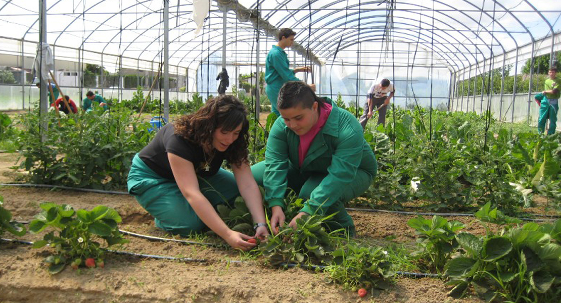 Las mujeres del ‘Programa anEXionadas’ realizarán practicas en una empresa agrícola de Don Benito