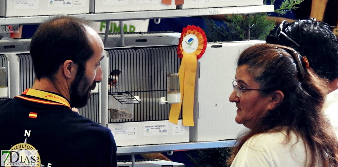 Ambiente en la III Internacional del Oeste que se celebra este fin de semana en Alburquerque