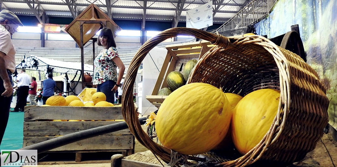 Inauguración de la III edición de la Feria del Melón de la Albuera