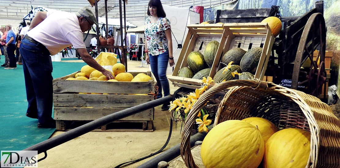 Inauguración de la III edición de la Feria del Melón de la Albuera