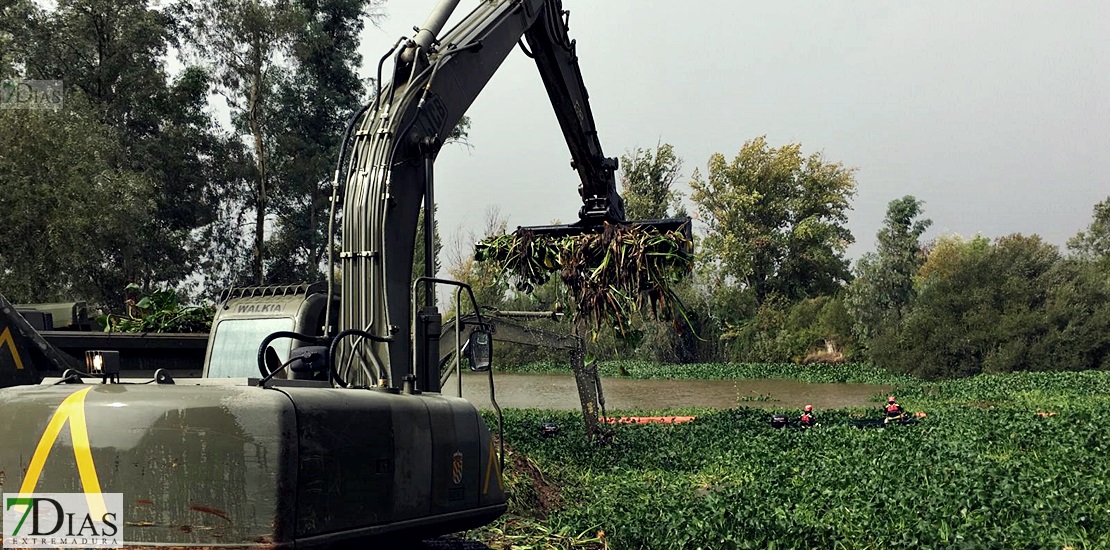 La UME ya está en Badajoz para luchar contra el camalote durante todo el invierno