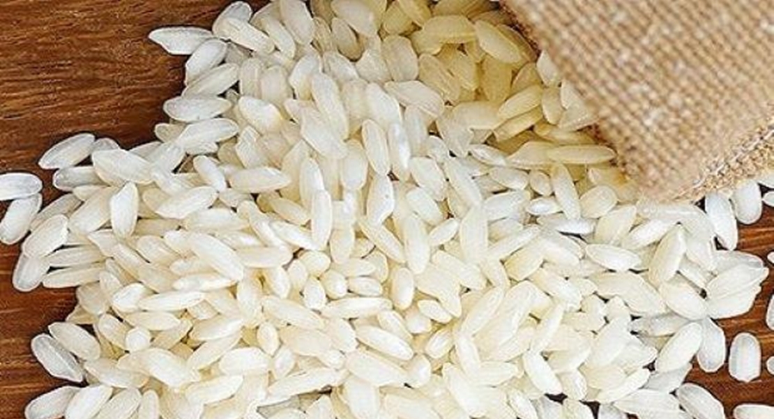 UPA-UCE pide al Gobierno barreras para proteger al arroz extremeño