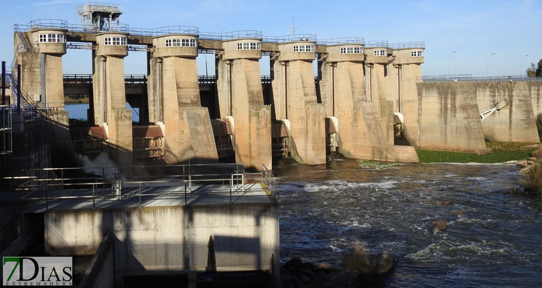 El camalote invade el entorno de la Presa de Montijo