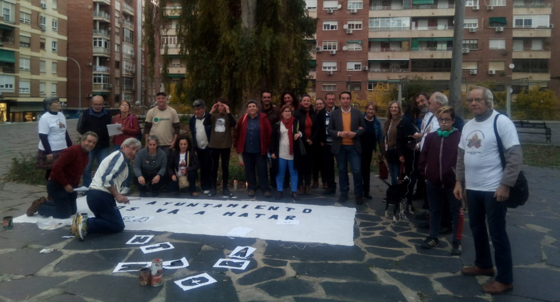 Concentración en la plaza de Santa Marta contra la &quot;condena a muerte&quot; de los eucaliptos