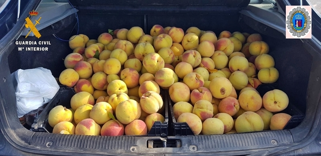 Guardia Civil y Policía Local interceptan 4.500 kilos de fruta robada