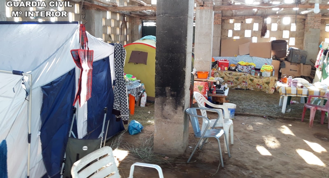 Hallan a tres niños portugueses trabajando en una finca de La Vera en condiciones infrahumanas