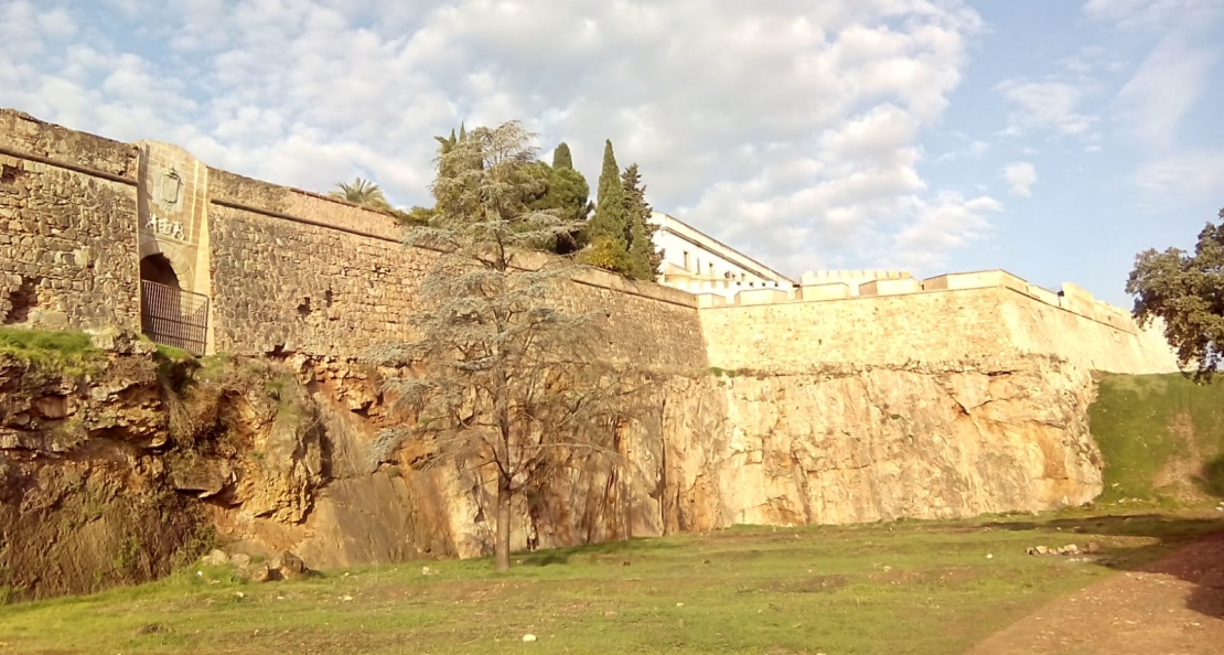 Cívica: &quot;Es un paso en buena dirección eliminar la arboleda de los fosos de la muralla&quot;