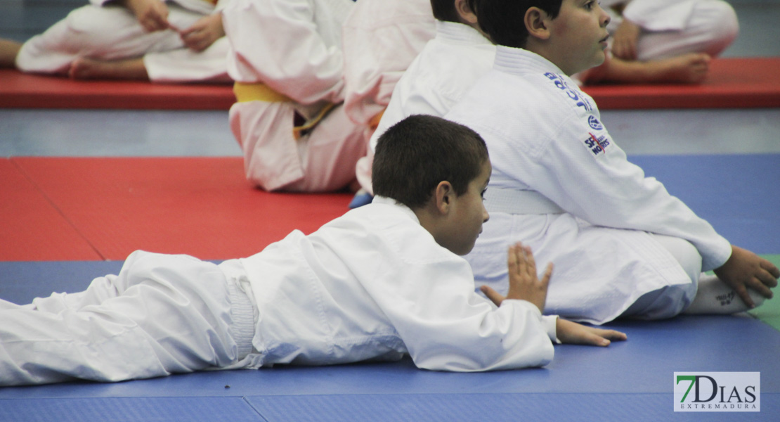 Imágenes del III Trofeo Ciudad de Badajoz de judo