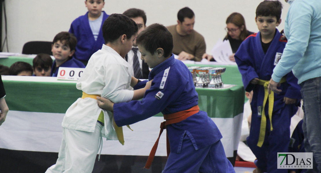 Imágenes del III Trofeo Ciudad de Badajoz de judo