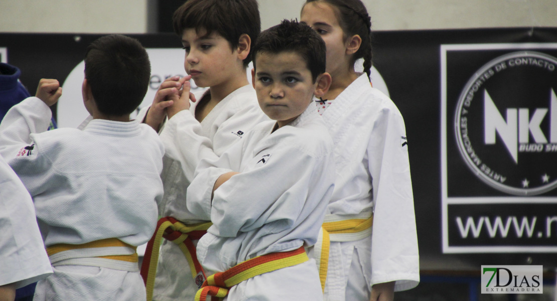 Imágenes del III Trofeo Ciudad de Badajoz de judo