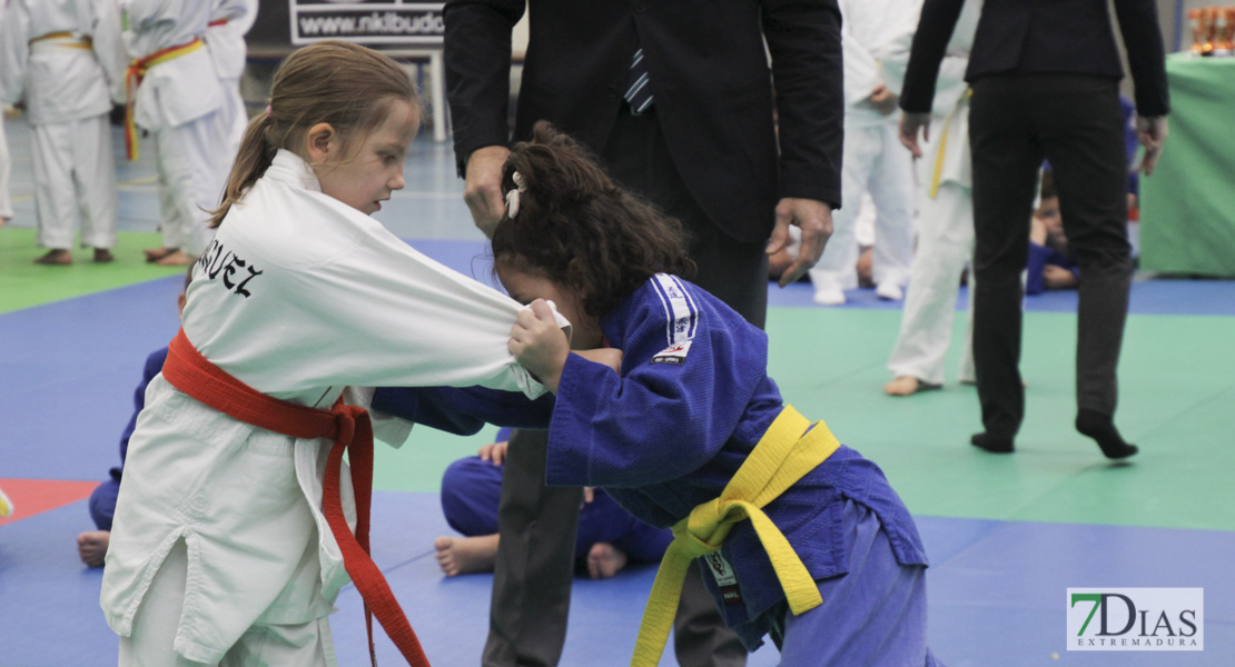 Imágenes del III Trofeo Ciudad de Badajoz de judo