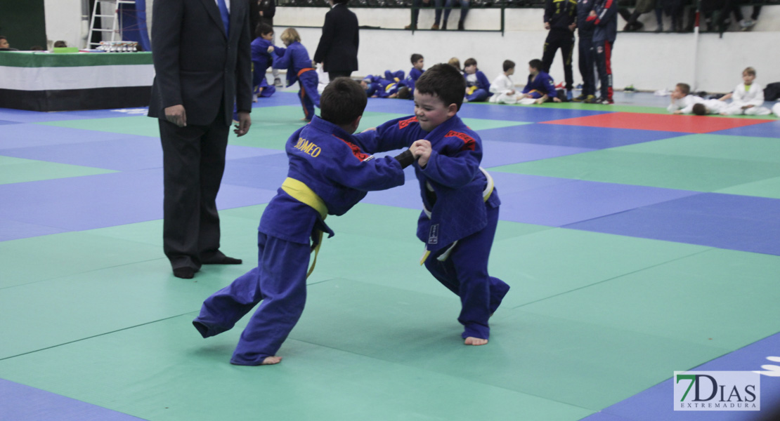 Imágenes del III Trofeo Ciudad de Badajoz de judo