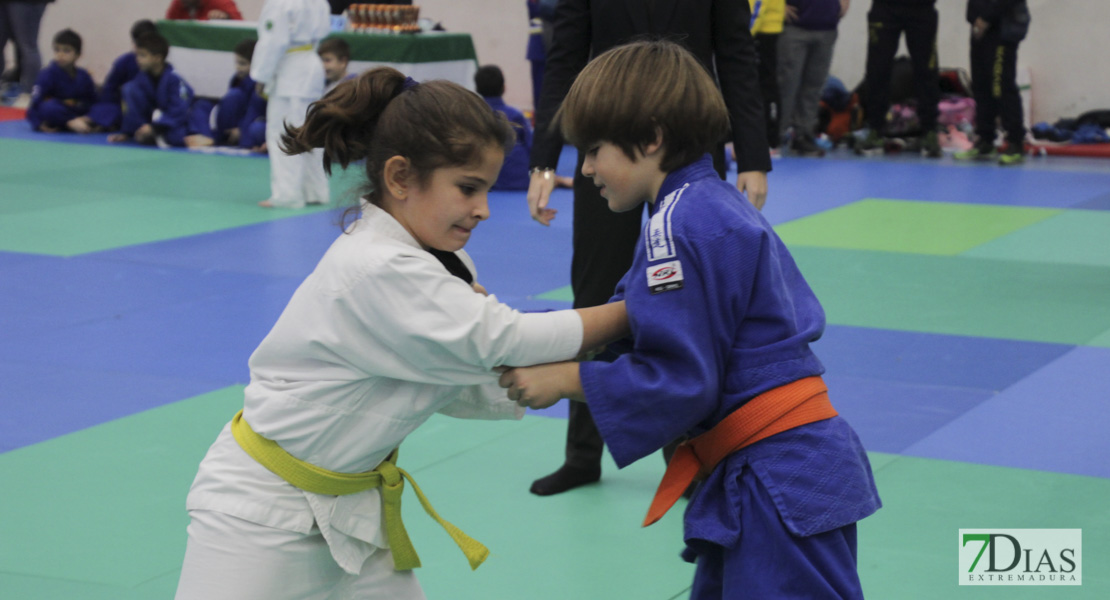 Imágenes del III Trofeo Ciudad de Badajoz de judo