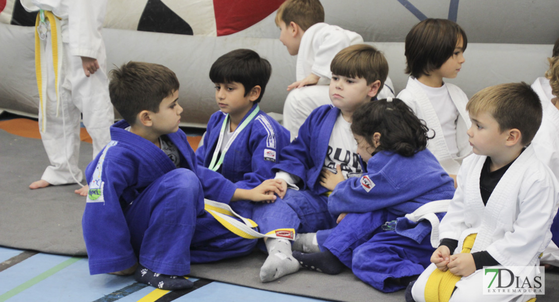 Imágenes del III Trofeo Ciudad de Badajoz de judo