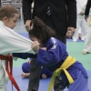 Imágenes del III Trofeo Ciudad de Badajoz de judo
