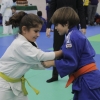 Imágenes del III Trofeo Ciudad de Badajoz de judo