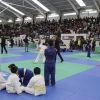 Imágenes del III Trofeo Ciudad de Badajoz de judo