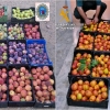 Guardia Civil y Policía Local interceptan 4.500 kilos de fruta robada