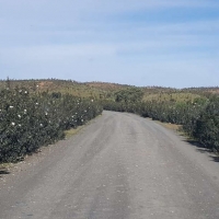 360.000 euros para mejorar caminos rurales