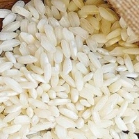 UPA-UCE pide al Gobierno barreras para proteger al arroz extremeño