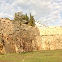 Cívica: &quot;Es un paso en buena dirección eliminar la arboleda de los fosos de la muralla&quot;