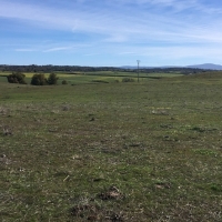 La planta solar La Solanilla, en Trujillo, ya tiene financiación