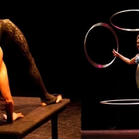 Grandes acróbatas, equilibristas y malabaristas convertirán el López de Ayala en un circo