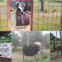 La Junta subvenciona zoológicos encubiertos, denuncia Natura 2000