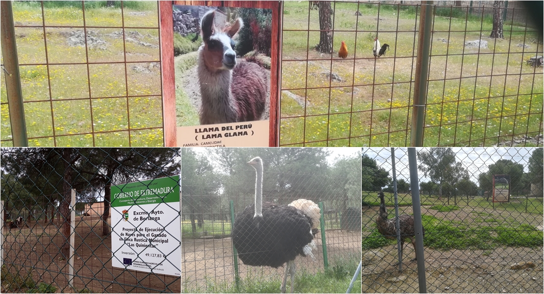 La Junta subvenciona zoológicos encubiertos, denuncia Natura 2000