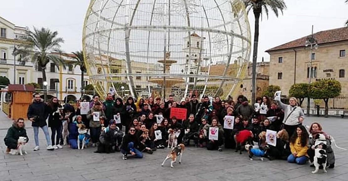 Mérida alza la voz por Sota, la perrita abatida por la guardia urbana de Barcelona