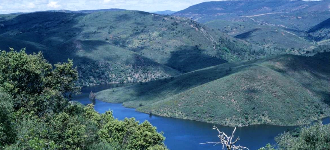 Ecologistas preocupados ante la celebración de monterías dentro del Parque Nacional de Monfragüe