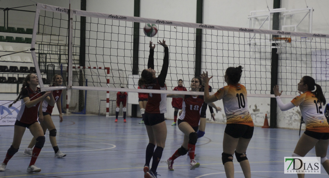 Imágenes del Pacense Voleibol Femenino - CV Pozuelo