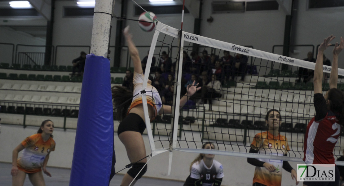 Imágenes del Pacense Voleibol Femenino - CV Pozuelo