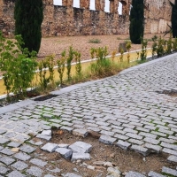 Denuncian el estado de la calzada paralela al Acueducto de San Lázaro