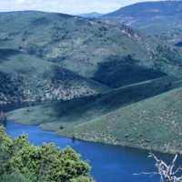 Ecologistas preocupados ante la celebración de monterías dentro del Parque Nacional de Monfragüe