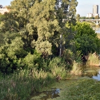 Rutas ornitológicas este fin de semana en Badajoz